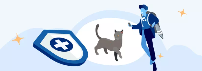 asuurance chat